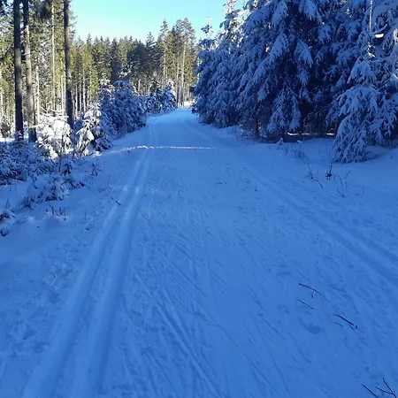 Lägenhet In Schonach Schwarzwald *